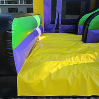 Inflatable Bouncer ManufacturerGB495