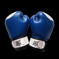 Blue boxing glovesGK030