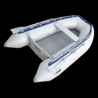 Pontoon Inflatable BoatGT042